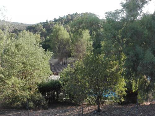 Huerta De Jos� Miguel