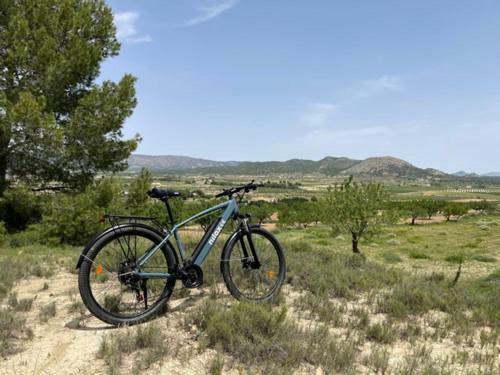 Agroturismo Grapevine Manor