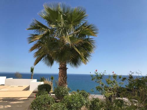 Apartamento Palmbeach Moj�car