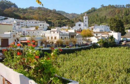 Apartamento Pico Lomito House