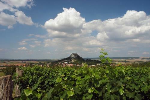 Agroturismo Weinbauernhof Vier Jahreszeiten