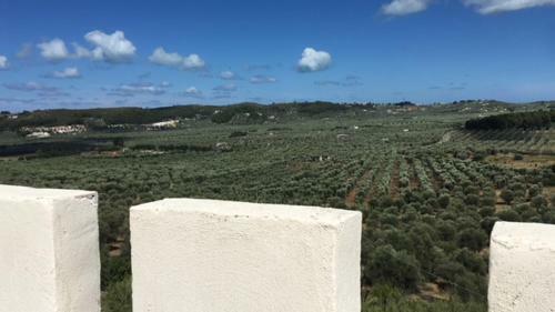 Bed & Breakfast Valle Della Corte