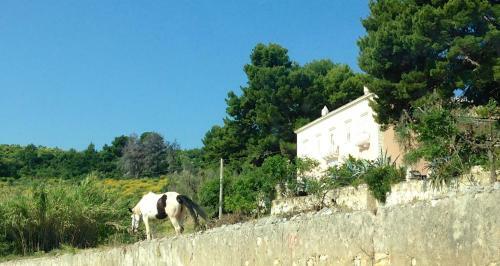 Bed & Breakfast Valle Della Corte