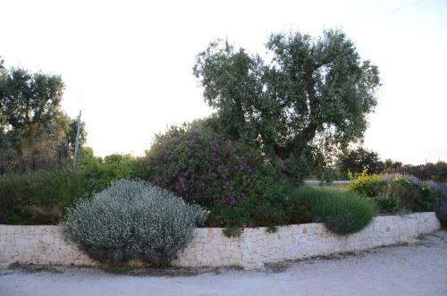 Agroturismo Agriturismo Tenuta Chianchizza