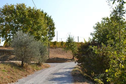Agroturismo Agriturismo Costa Dei Platani