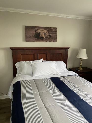 Lakefront Home (Newly Renovated) In Belleville Mi