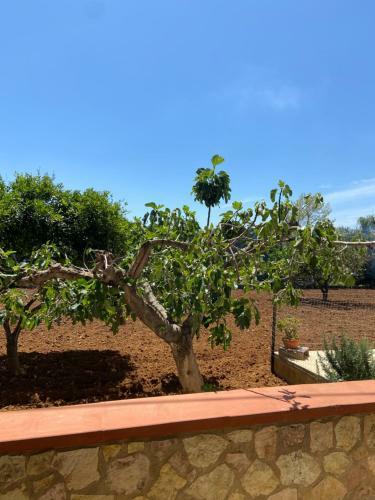 Casa Vacanza Imperiale Mare/campagna