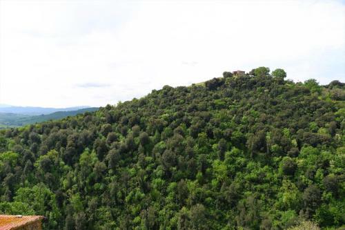 Apartamento Casetta In Maremma