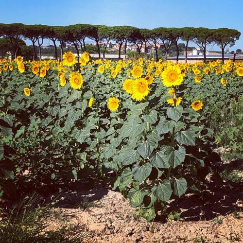 Bed & Breakfast Casa Di Calma