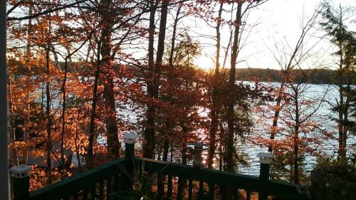 Coleman's Cabin