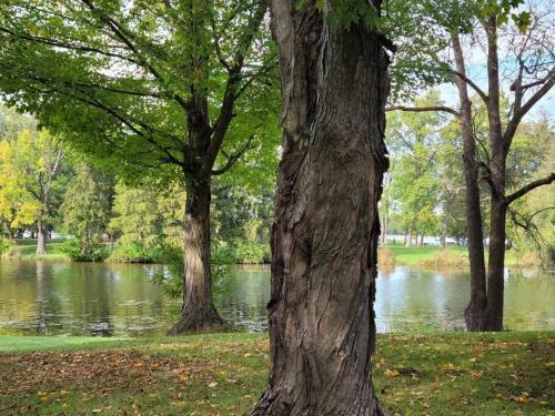 Large 1 Br Cottage, King Bed On The Lake