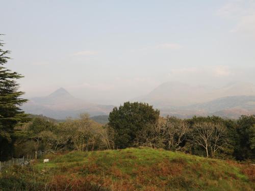 Cerrig Y Rhwydwr