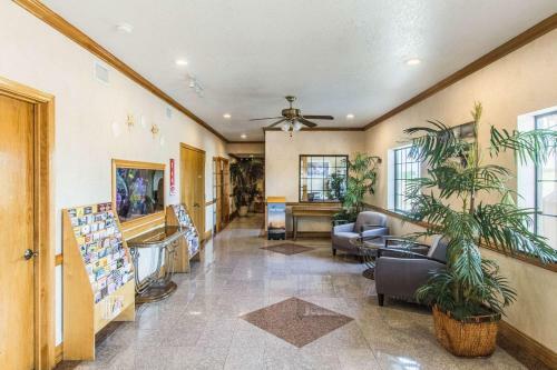 Hotel Econo Lodge & Suites Corpus Christi