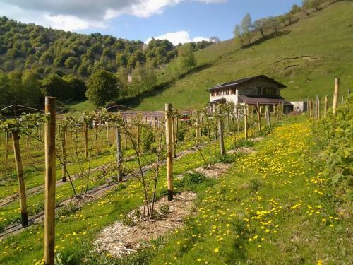 Agroturismo Agriturismo Le Radici