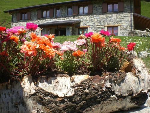 Agroturismo Agriturismo Le Radici