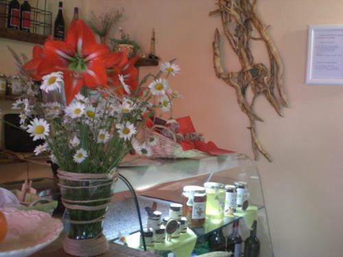 Agroturismo Agriturismo Le Radici