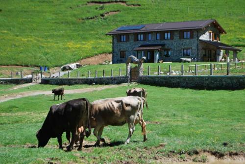 Agroturismo Agriturismo Le Radici