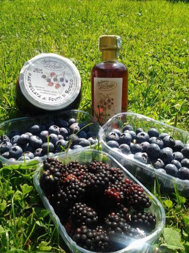Agroturismo Agriturismo Le Radici