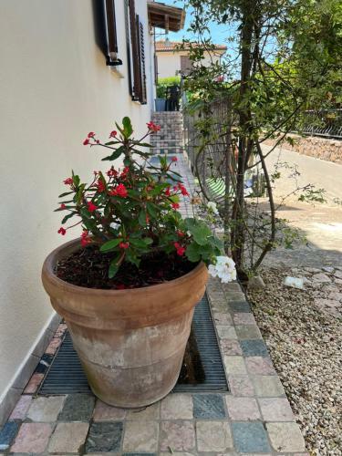 Apartamento L?essenziale