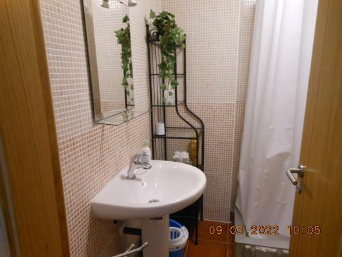 Apartamento Mariposa 66