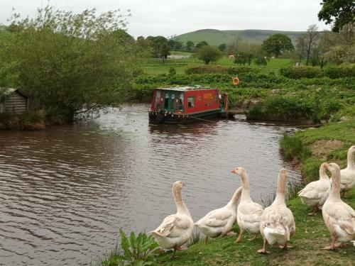 Pretty 1-bed Canal Boat In Stunning Valley View