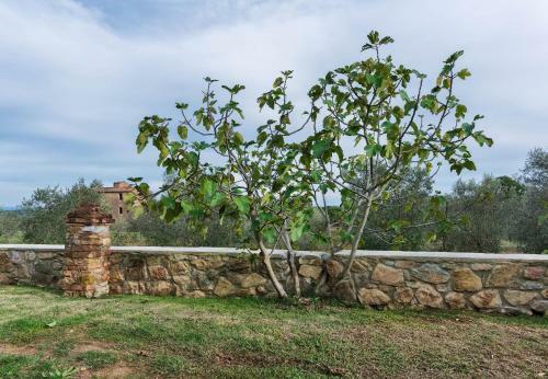 Podere Le Cortine