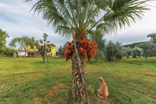 Podere Le Cortine