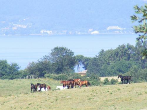 Camping Parco Del Lago