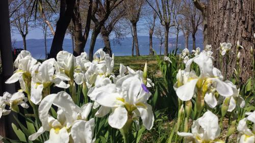 Camping Parco Del Lago
