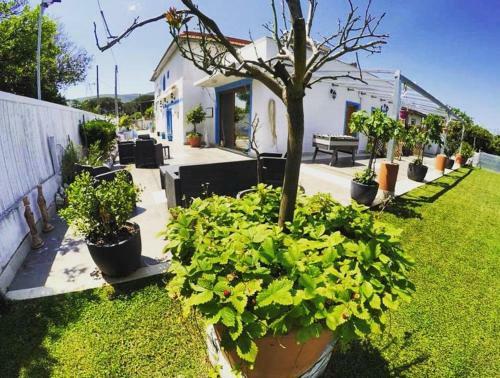 Bed & Breakfast La Vigna Di Circe