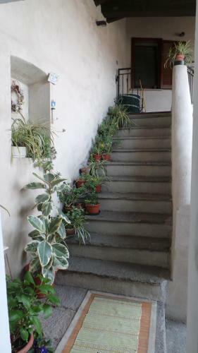 B&B La Rampichina