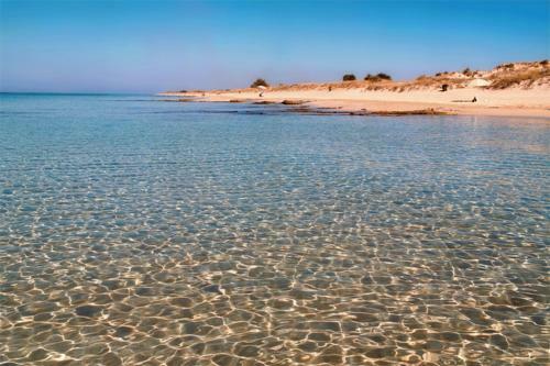 UNA Svolta Sul Mare