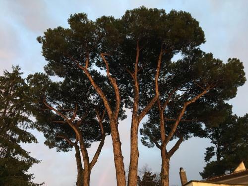 Relaxing Villa Close To Rome With Private Swimming Pool