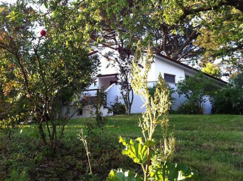 Relaxing Villa Close To Rome With Private Swimming Pool