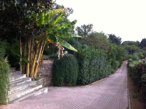 Relaxing Villa Close To Rome With Private Swimming Pool