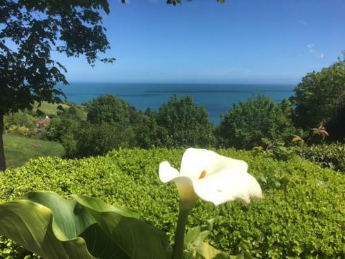 Apartamentos Bowden House Self Catering Holiday Aparments