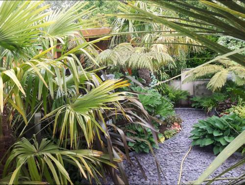 Jungle Cabin In Sutton Coldfield