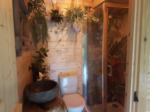 Jungle Cabin In Sutton Coldfield