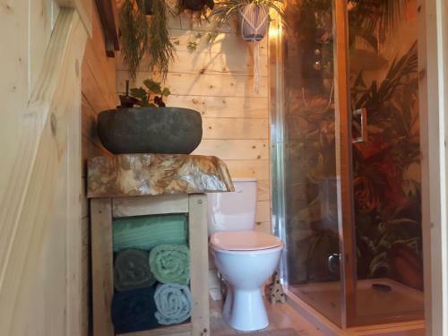 Jungle Cabin In Sutton Coldfield