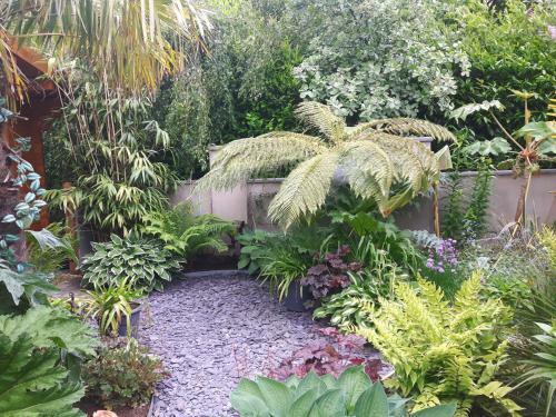 Jungle Cabin In Sutton Coldfield