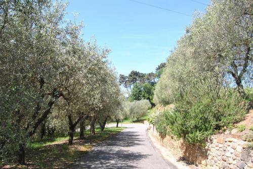 Apartamento Da Ida Alla Vigna Del Greppo