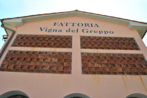 Apartamento Da Ida Alla Vigna Del Greppo
