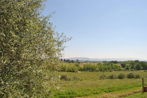 Apartamento Da Ida Alla Vigna Del Greppo