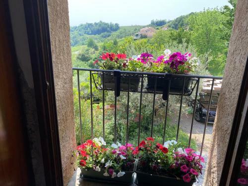 Apartamento Colline Di Luce