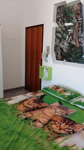 Apartamento Astonishing Calabria Pet Friendly Apts