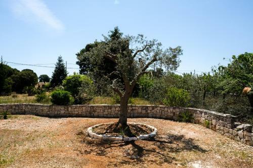 Trullo Elvira & Luigi