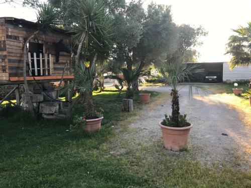 Apartamento Casa Vacanze Porto Selvaggio
