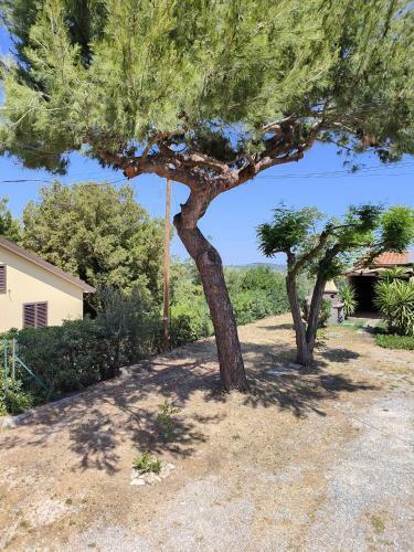 Apartamento La Casetta