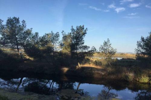 Villa Pieds Dans L'eau, La Maison Du Bonheur