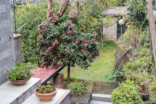 Sea View Rooftop Apartment With Jacuzzi & Garden